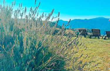 La casa de la masia - La Pallissa - Foto 28