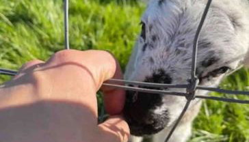 Nestledstays - The Barn House With Hot Tub - Foto 3