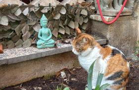 Seafront little House - Photo 3