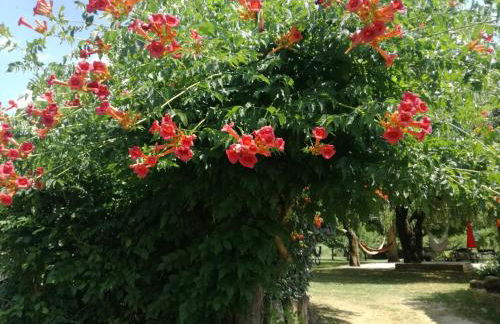 le gite des 3 saules - Foto 50