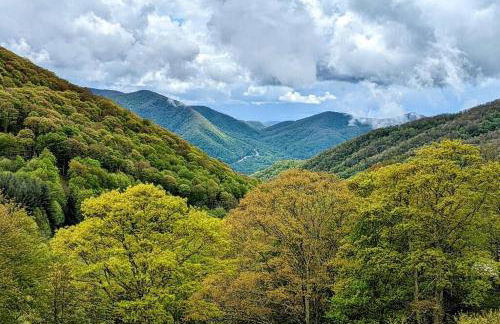 Serene Green - Views, Hot Tub, Skiing, Tubing, Gas Fireplace - Foto 27