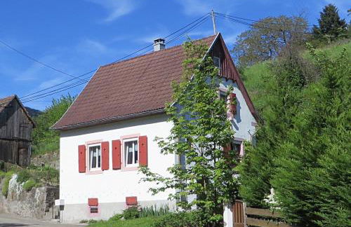 Petit Papillon - Foto 1