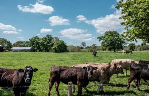 Boutique Luxury Cottage Cheshire Wedding Guests - Foto 60
