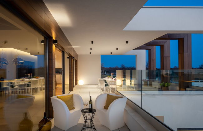 Old Olive VIII - Foto 13