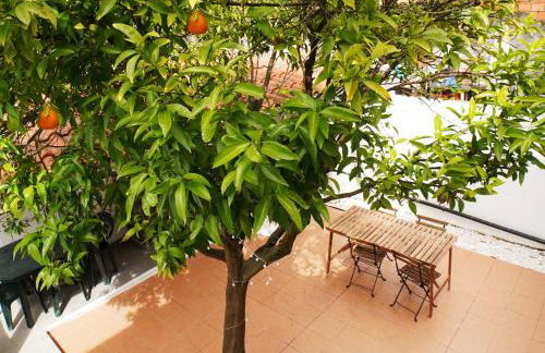 Casa da Laranja by Quantique - Foto 34