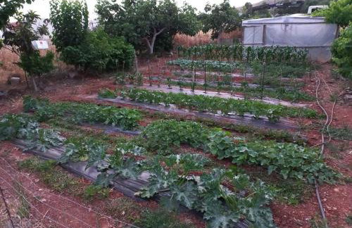 Like Home Luxury House, near Archaeological Museum - Foto 70