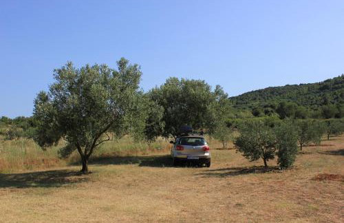 Apartments by the sea Pasman - 8215 - Foto 15