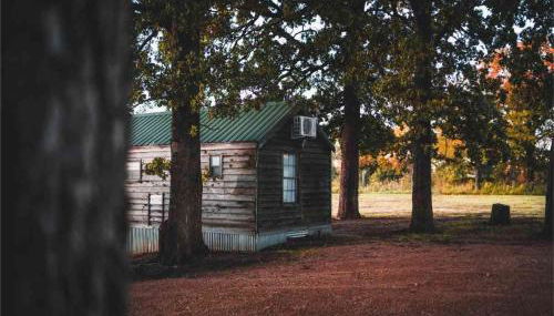 Lakefront Cedar Cabin - 9 - Foto 4, Garden view