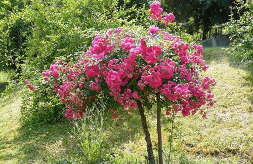 Le Domaine de Pecany - Foto 70