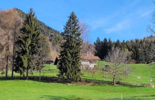 Carlotta Mountain Lake Iseo Hospitality - Photo 28