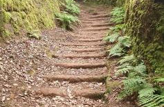 Casa Rural EL PUENTE - Foto 58