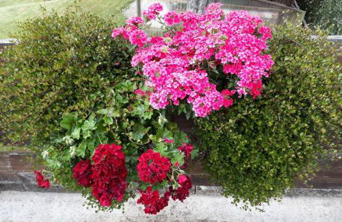 Isoldes Landhaus - Foto 44