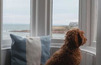 Turret House - Foto 19