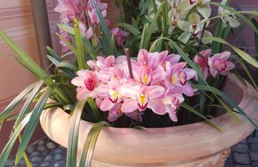 Villa Caterina - Foto 12