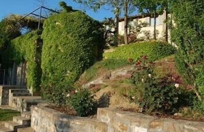 Il Pezzatino - Photo 64