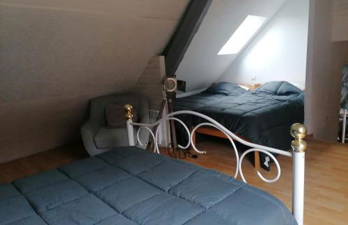 Gîte le parc Michel - Foto 14