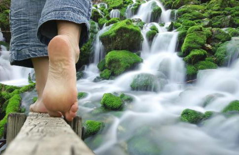 Montloubier - Photo 59