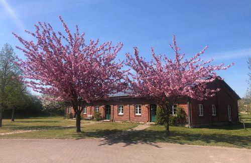 Farm-Chalet Renzow - Foto 29