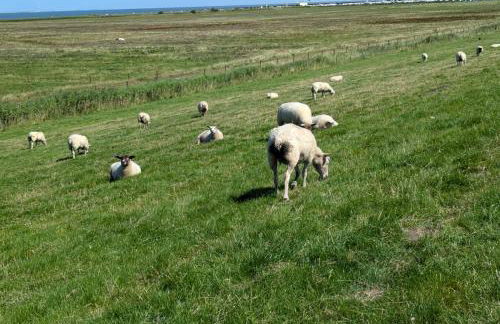 Emily's Deichbude in einer historischen Villa in Dornumersiel - Foto 34