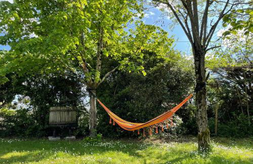 Le Clos des Trois Provinces, Zoo de Beauval - Foto 25