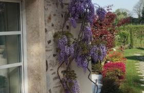 Relais Ca' Morenica - Foto 12