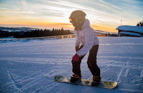 Traumblick Bayerischer Wald, Pool & Sauna, Getränke, Klimaanlage - Foto 58
