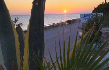 ILIOPOULOS Apartments - Foto 77