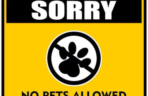 Marina Holiday Apartments - Foto 37