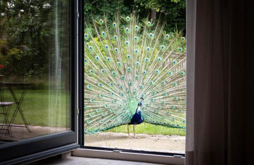 Idyllisches Landhaus, Garten & Kamin, für Paare - Foto 9