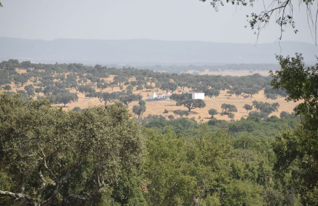 Tranquil Alentejo Villa With Pool - Foto 30