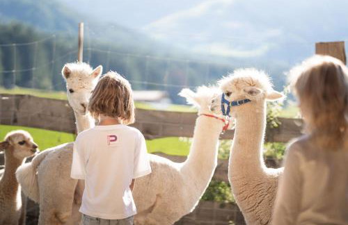 Aparthotel Familiaris - Family Apartments - Pools & Spa in Dolomites - Photo 31