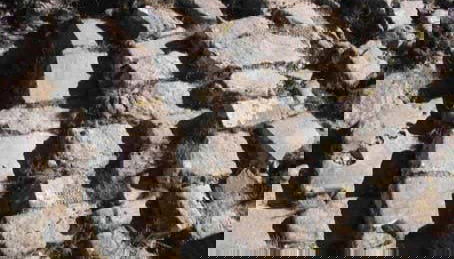 Escalones del Camino Inca de Tajzara