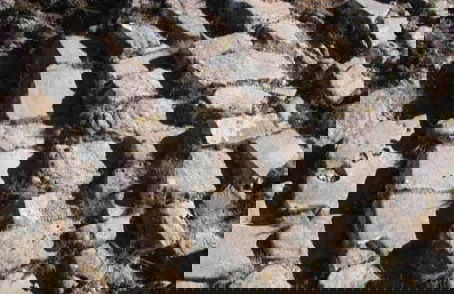 Trekking por el Camino Inca de Tajzara - Foto 4