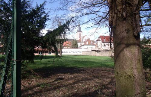 l'ecureuil - Foto 15