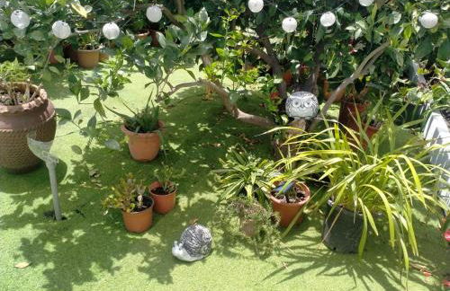 Casa Nine con piscina Vacacional La Palma - Foto 15