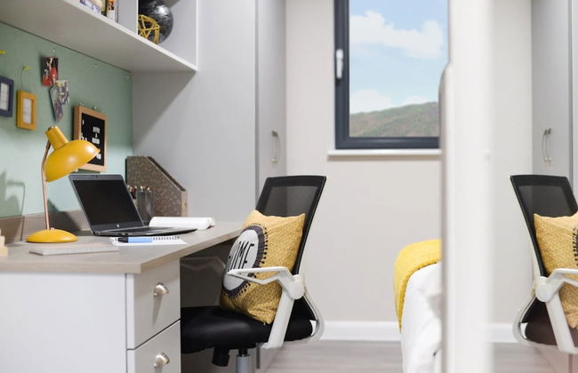 Student Only St David's - Photo 6