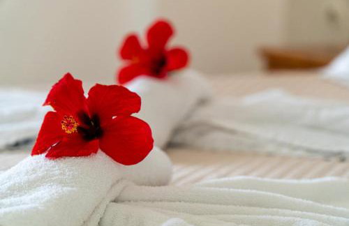 Anna Studio and Maisonettes - Foto 24