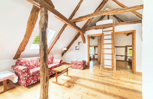 Ferien- und Pferdehof Glöe GbR - Foto 33