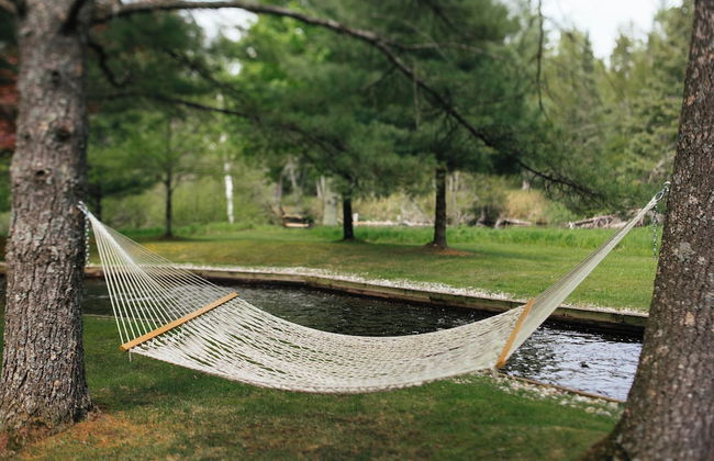 Grayling Gem Royal Stag Lodge - Foto 51