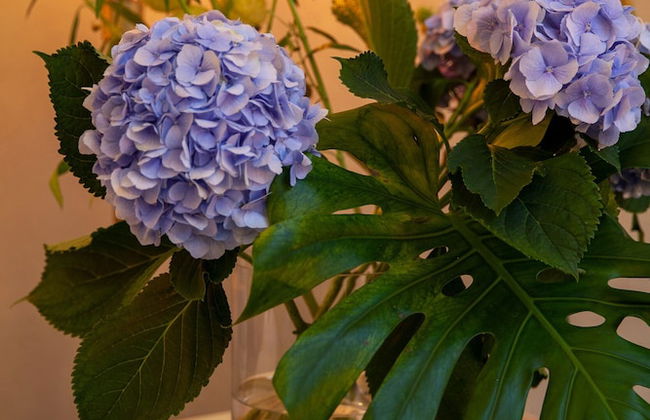 The Suite Fabric Hotel - Foto 38