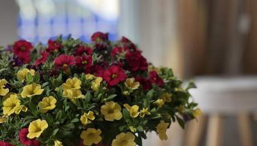 Mairi’s Apartment - Foto 2