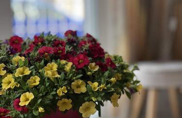 Mairi’s Apartment - Foto 2