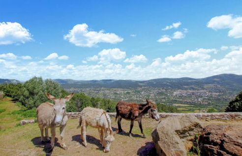 Pet Friendly Home In Privas With Sauna - Foto 28