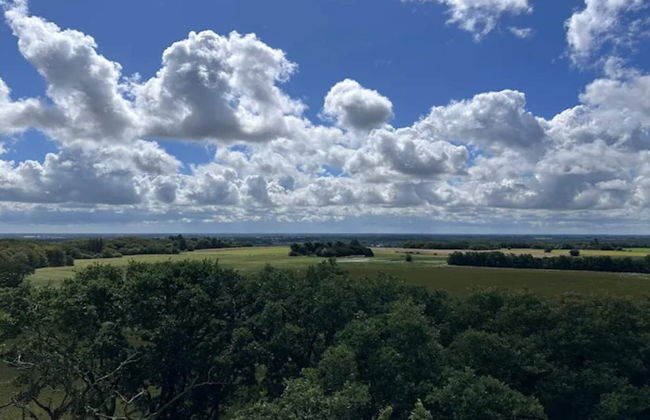 4 Person Holiday Home in Skaerbaek-by Traum - Foto 19