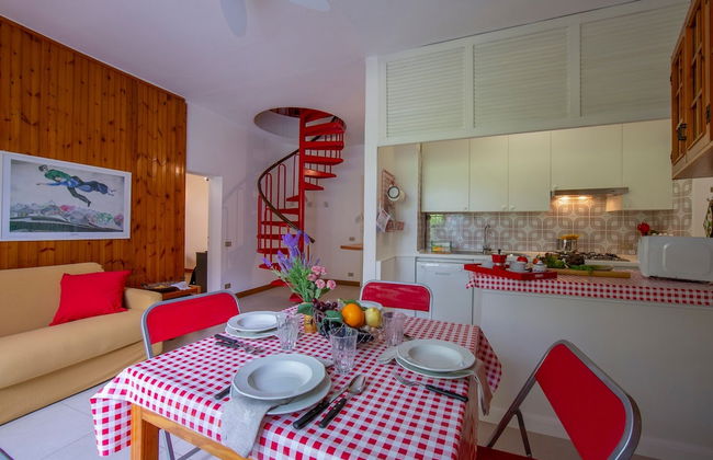 Rododendro Rosso - Foto 12