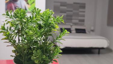 Apartamento Madrid Norte - Foto 1