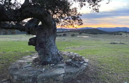 Finca La Alcolehuela - Foto 21