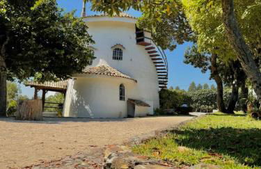 O Moinho de Vale da Mó - Foto 28