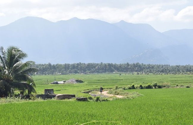 Room in Lodge - Royal Cottage, Anaimalai Room - Foto 10