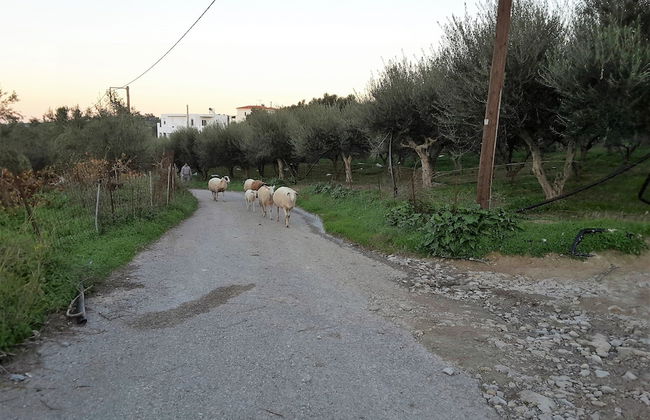 Enticing Villa in Loutra with Private Pool & Garden near Beach - Photo 32